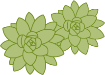 Cafe Celestine - restaurant SAINT-REMY-DE-PROVENCE